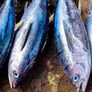 histamina en pescado azul